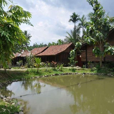 The Pikas Resort Wonosobo Buitenkant foto