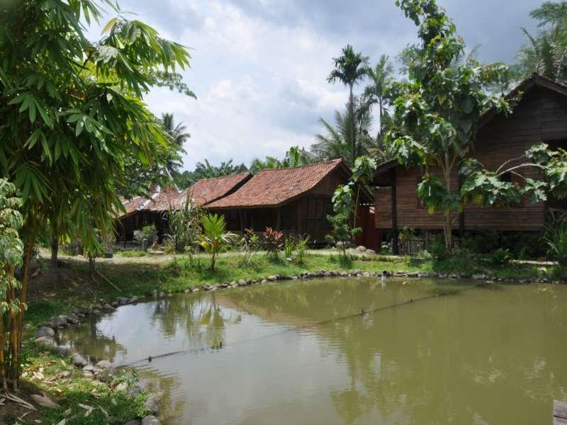 The Pikas Resort Wonosobo Buitenkant foto