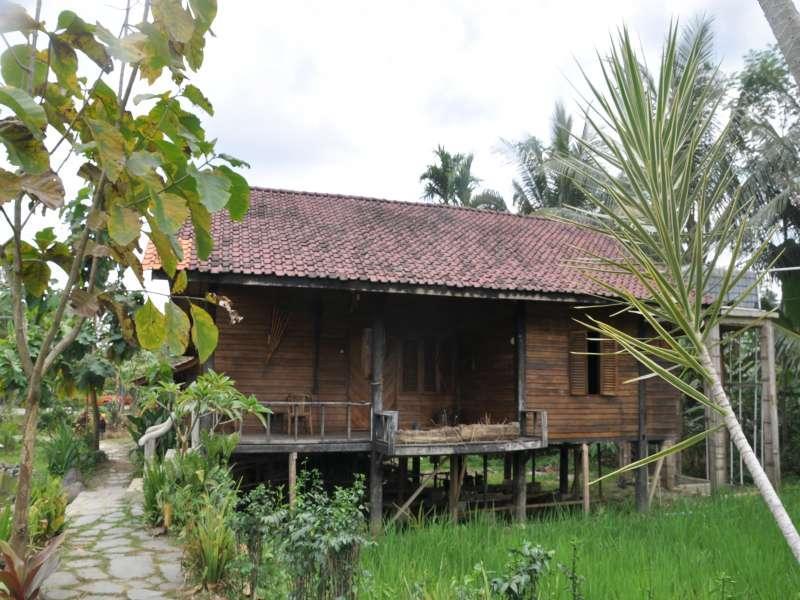 The Pikas Resort Wonosobo Buitenkant foto